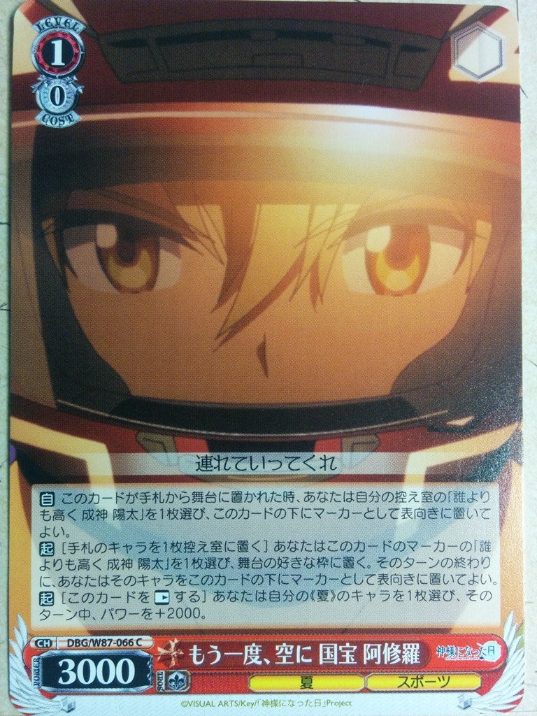 Weiss Schwarz The Day I Became a God DBG/W87-066C C Ashura Kokuhou Trading Card NM