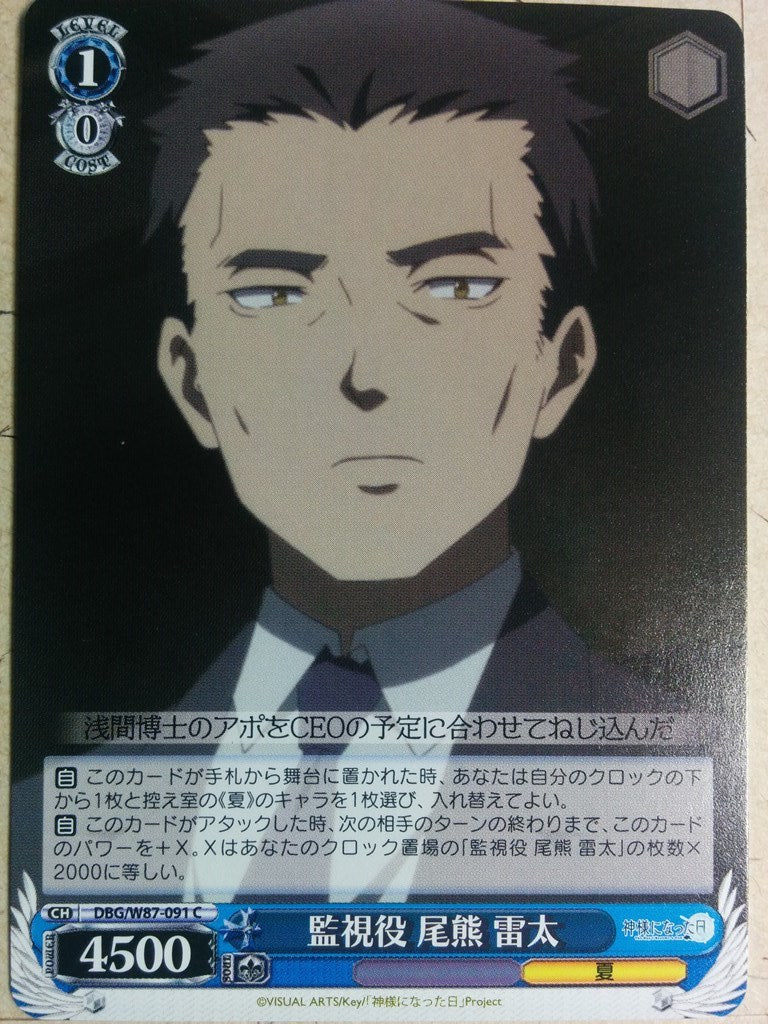 Weiss Schwarz The Day I Became a God DBG/W87-091C C Raita Trading Card NM