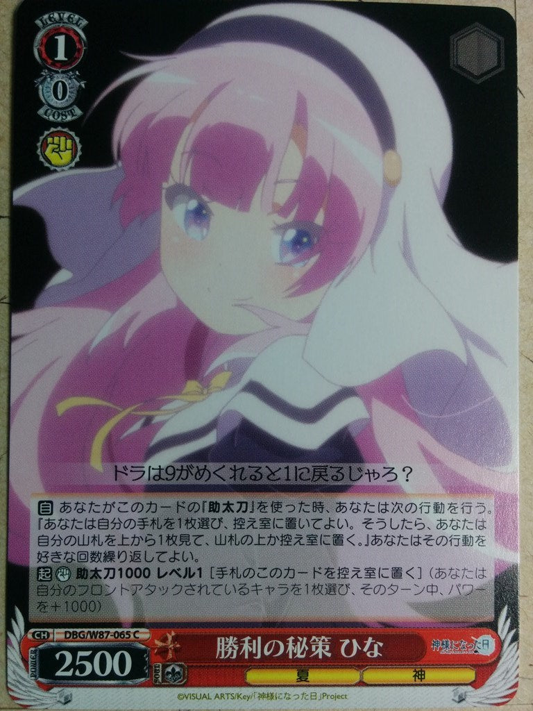 Weiss Schwarz The Day I Became a God DBG/W87-065C C Hina Sato Trading Card NM