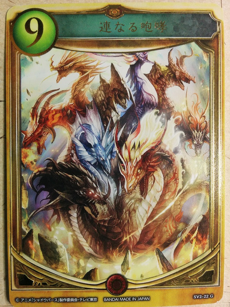 Shadow Verse Shadow Verse SV2-22G G Trading Card NM