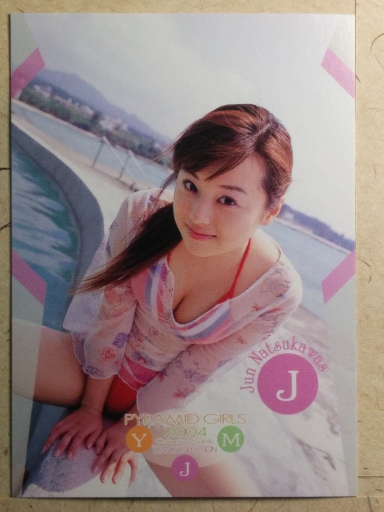 Japanese Idol Collective Cards EPO/JN-81 N Jyun Natsukawa Trading Card NM