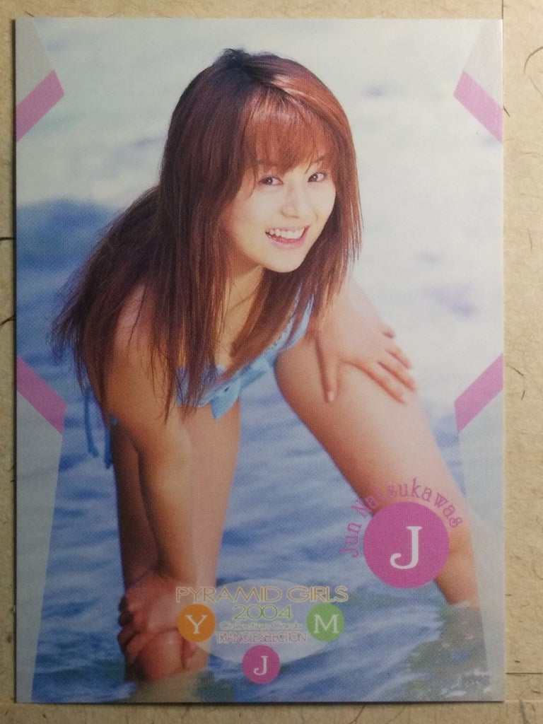 Japanese Idol Collective Cards EPO/JN-66 N Jyun Natsukawa Trading Card NM