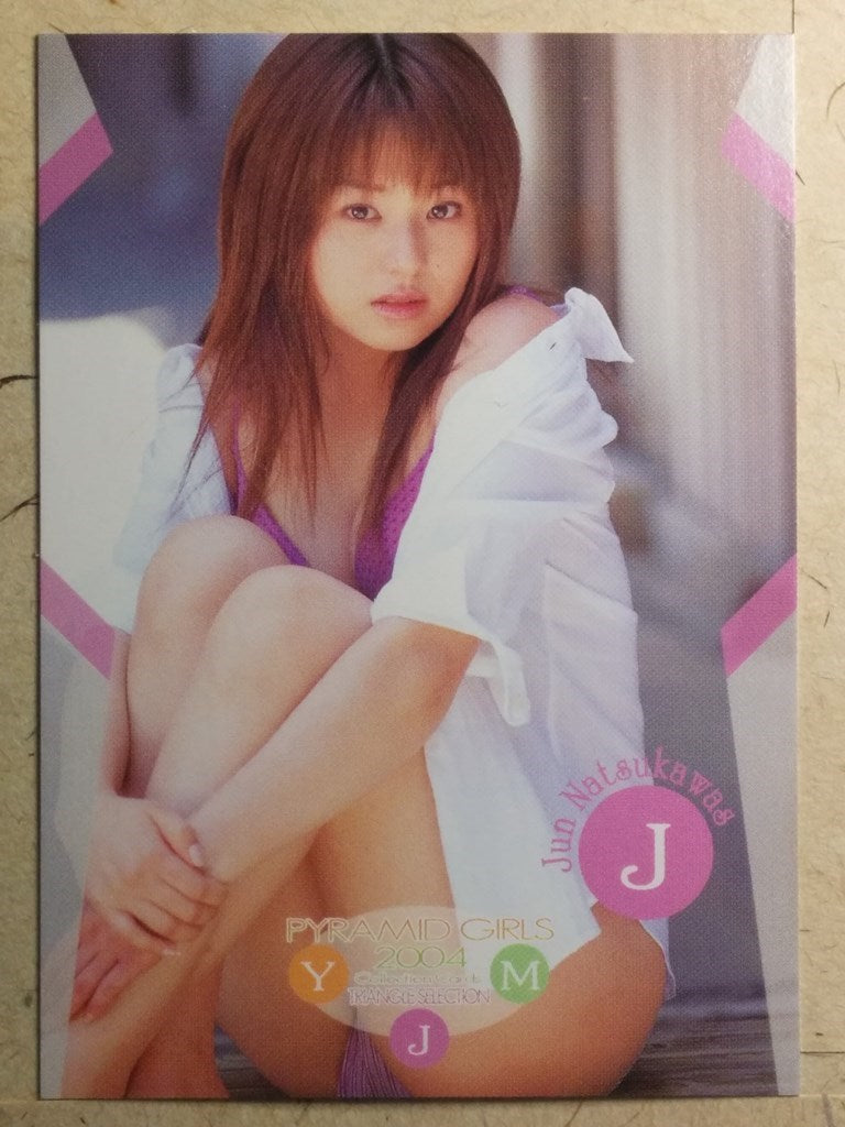 Japanese Idol Collective Cards EPO/JN-60 N Trading Card NM