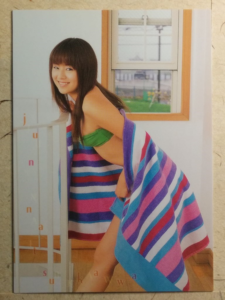 Japanese Idol Collective Cards SAK/2003/JN-59 N Jyun Natsukawa Trading Card NM