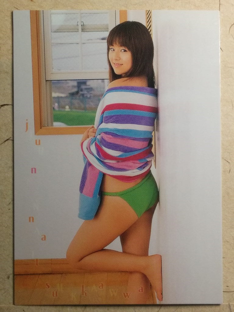 Japanese Idol Collective Cards SAK/2003/JN-63 N Jyun Natsukawa Trading Card NM