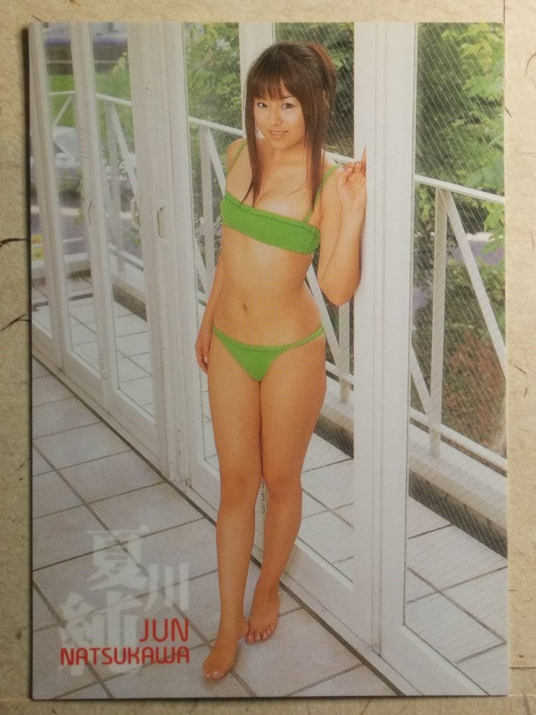 Japanese Idol Collective Cards SAK/2003/JN-01 N Jyun Natsukawa Trading Card NM