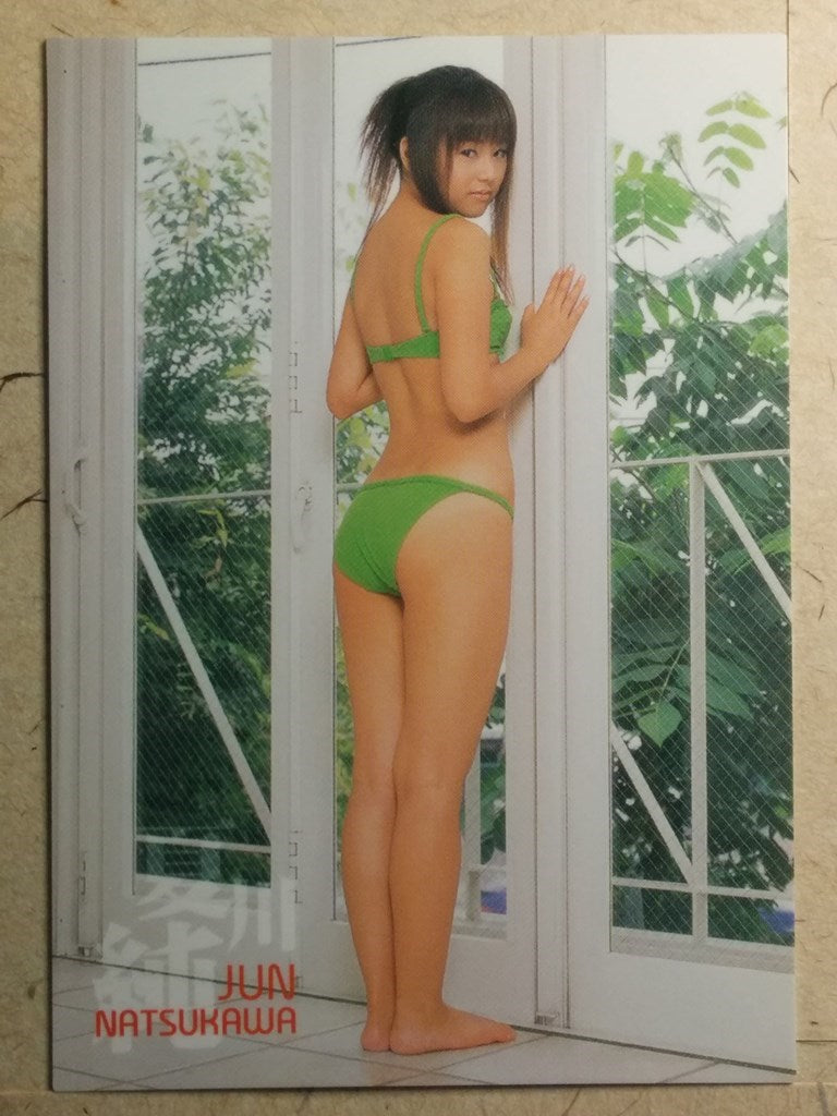 Japanese Idol Collective Cards SAK/2003/JN-05 N Jyun Natsukawa Trading Card NM