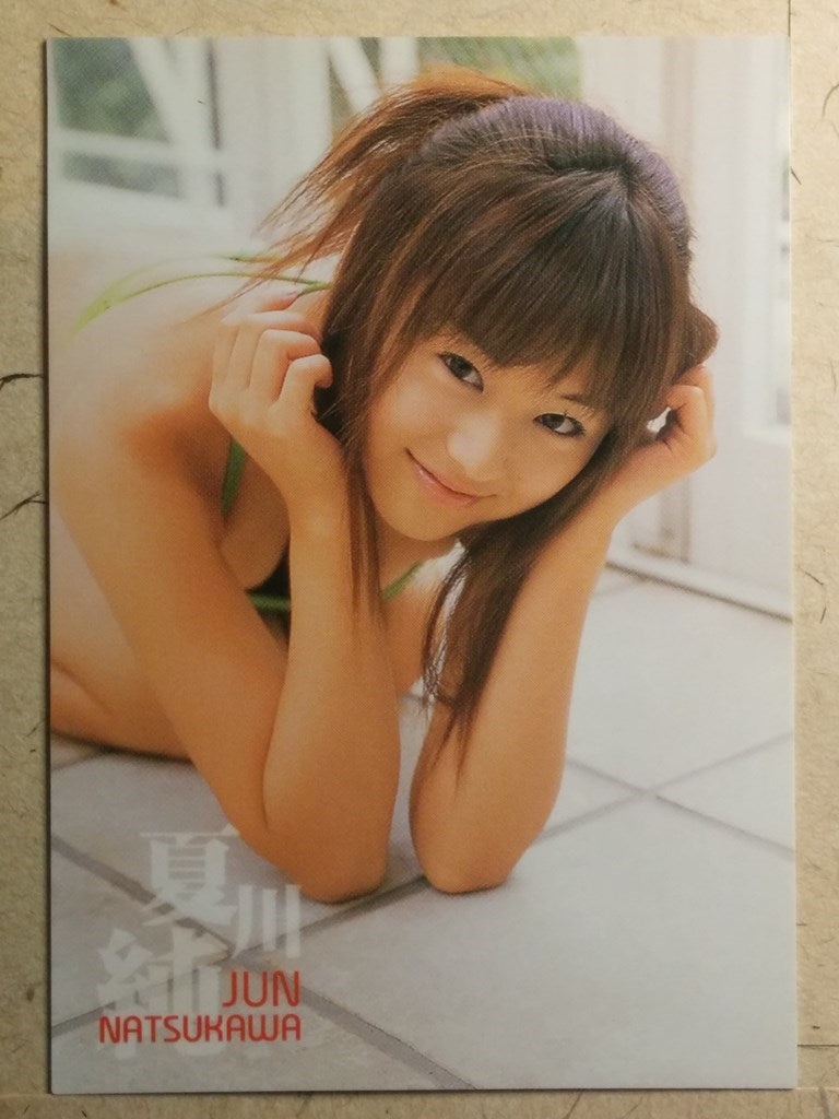 Japanese Idol Collective Cards SAK/2003/JN-04 N Jyun Natsukawa Trading Card NM