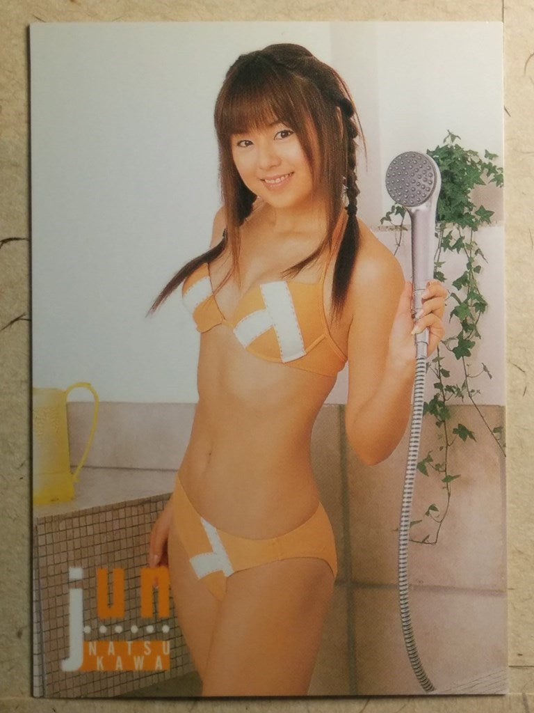 Japanese Idol Collective Cards SAK/2003/JN-37 N Jyun Natsukawa Trading Card NM