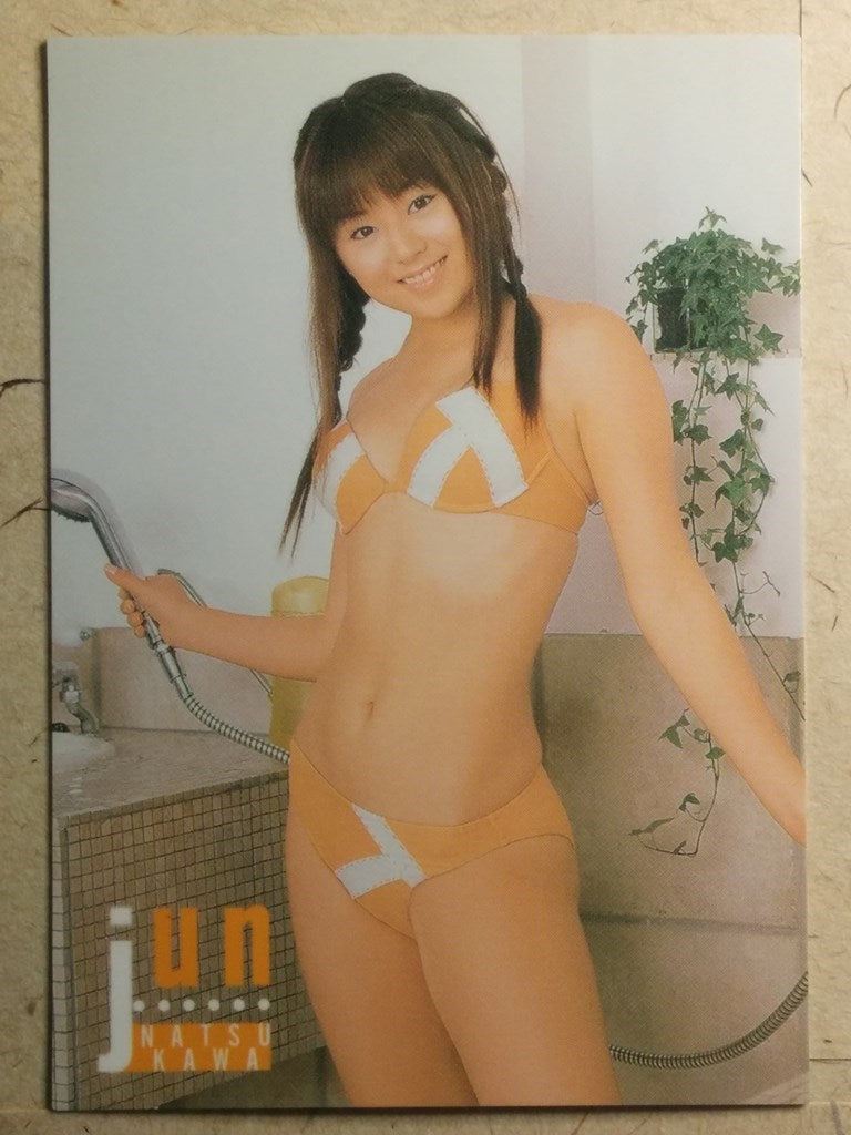 Japanese Idol Collective Cards SAK/2003/JN-43 N Jyun Natsukawa Trading Card NM