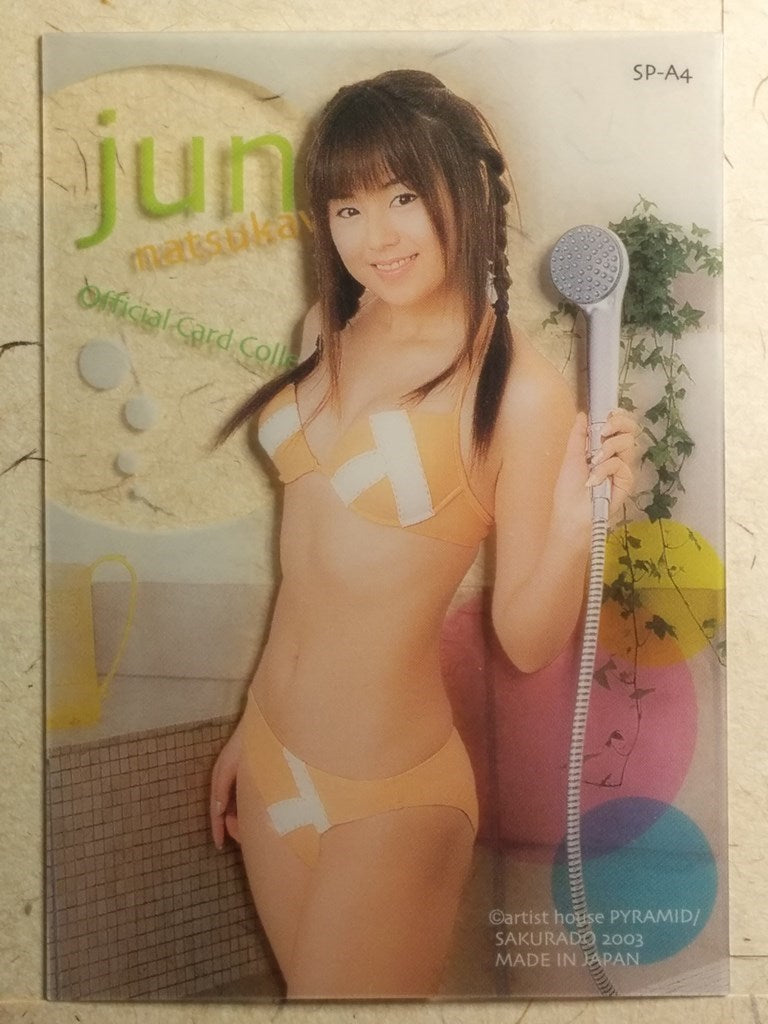 Japanese Idol Collective Cards SAK/2003/JN-SP-A4 N Trading Card NM