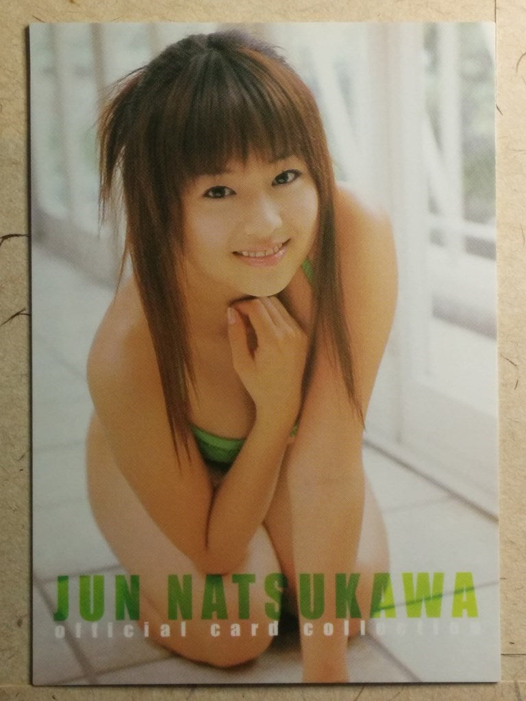 Japanese Idol Collective Cards SAK/2003/JN-BOX1 N Jyun Natsukawa Trading Card NM