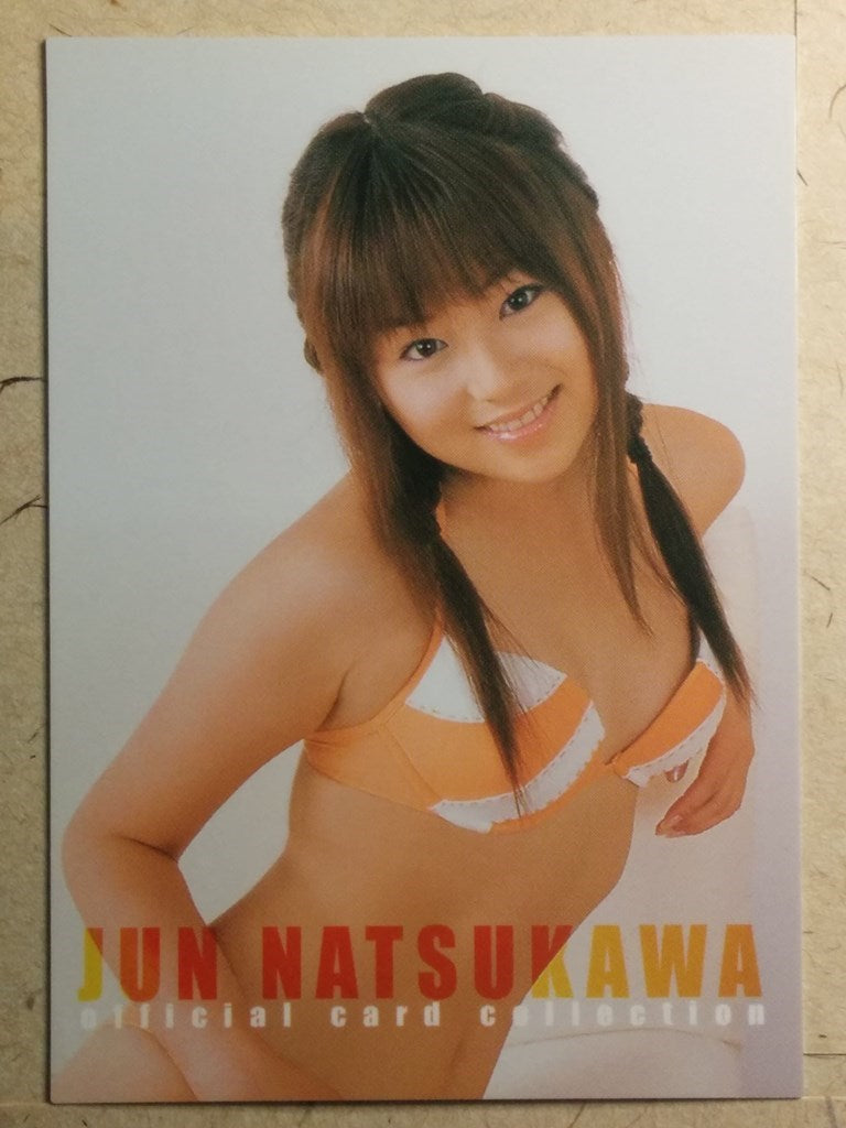 Japanese Idol Collective Cards SAK/2003/JN-BOX2 N Jyun Natsukawa Trading Card NM