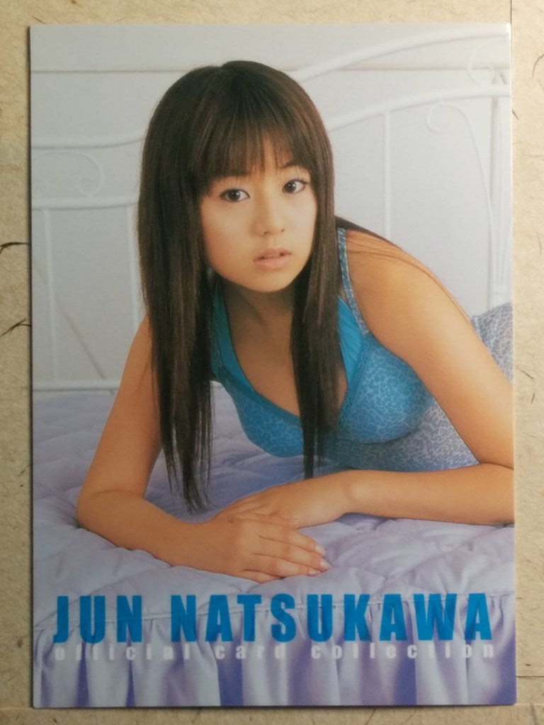 Japanese Idol Collective Cards SAK/2003/JN-BOX3 N Jyun Natsukawa Trading Card NM
