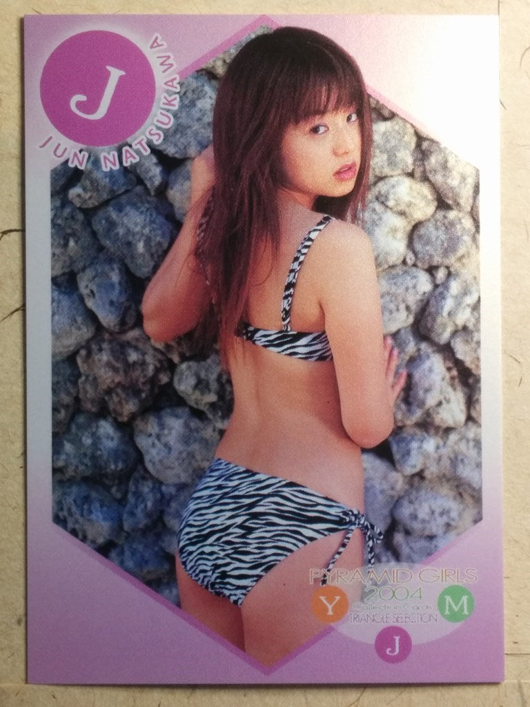Japanese Idol Collective Cards EPO/JN-EX3 N Jyun Natsukawa Trading Card NM
