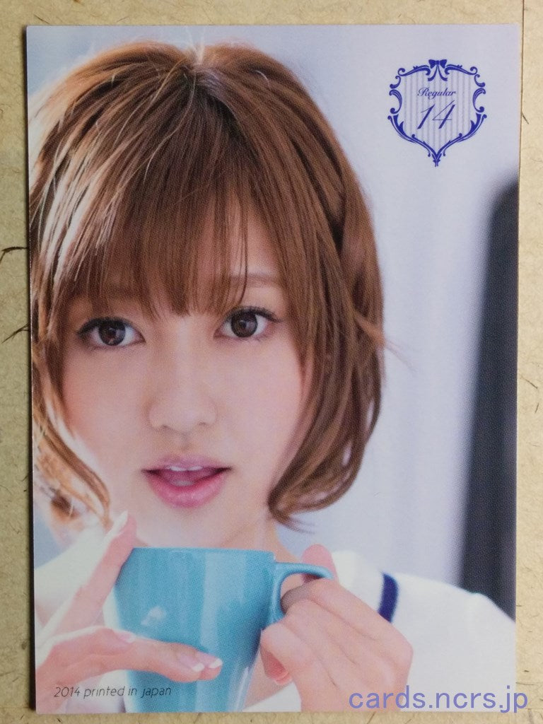 Regular REG-2014-014 C Ami Kikuchi Trading Card NM