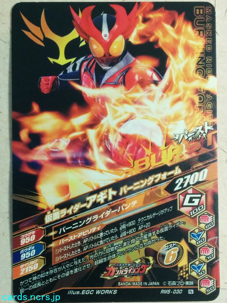Ganbarizing Kamen Rider GAN/RM5-030N N Agito Trading Card NM