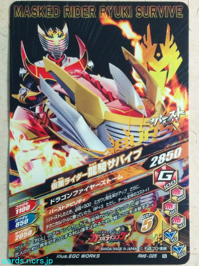 Ganbarizing Kamen Rider GAN/RM6-025N N Ryuki Trading Card NM