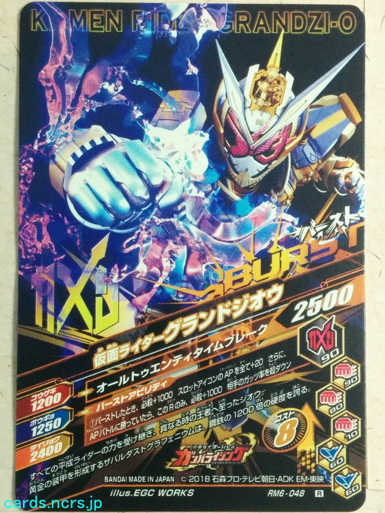 Ganbarizing Kamen Rider GAN/RM6-048R R Zi-Oh Trading Card NM