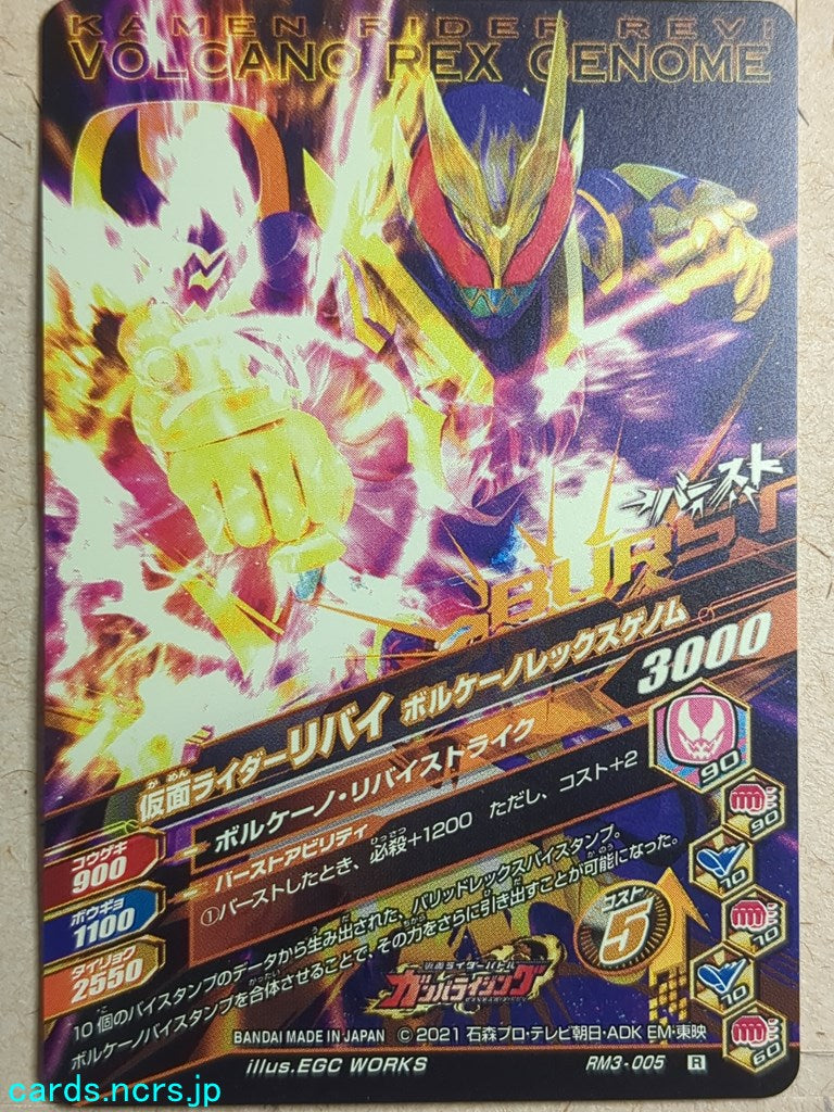 Ganbarizing Kamen Rider GAN/RM3-005R R Revi Trading Card NM
