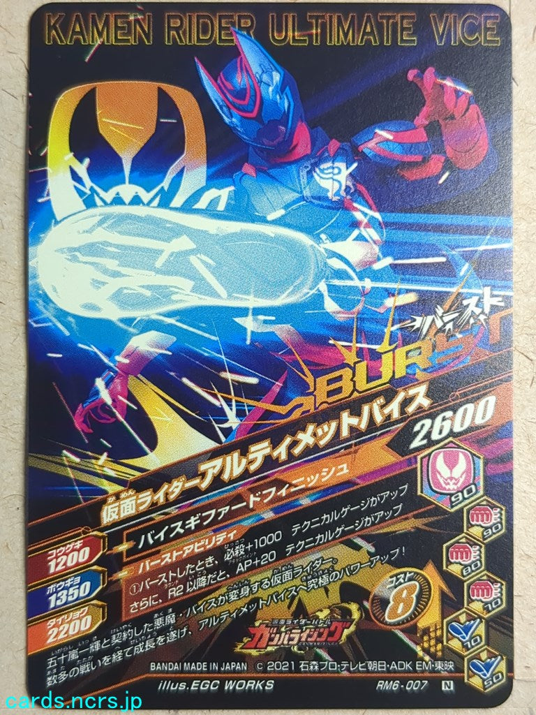 Ganbarizing Kamen Rider GAN/RM6-007N N Vice Trading Card NM