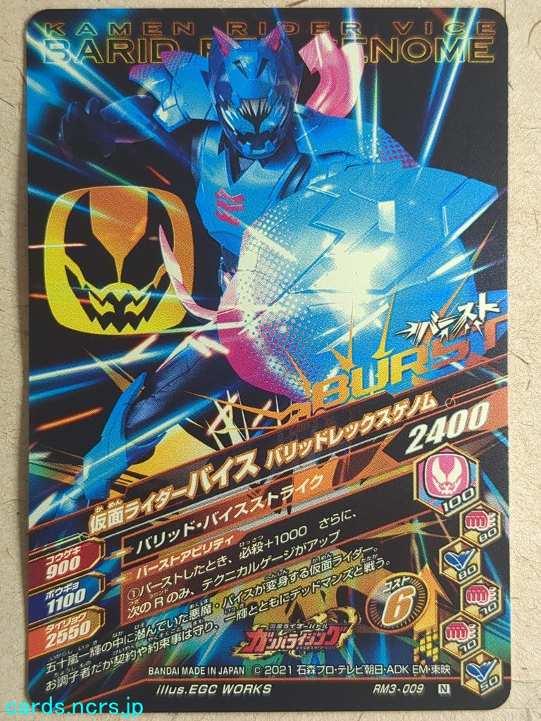Ganbarizing Kamen Rider GAN/RM3-009N N Vice Trading Card NM