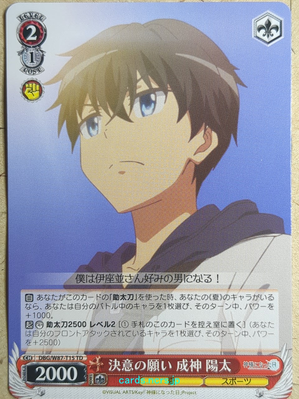 Weiss Schwarz The Day I Became a God DBG/W87-T15TD TD Yota Narukami Trading Card NM
