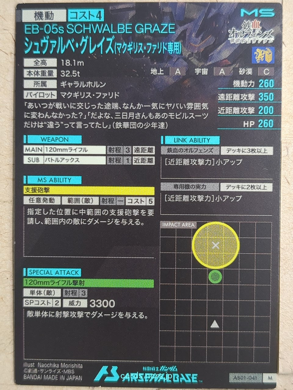 Backside Image