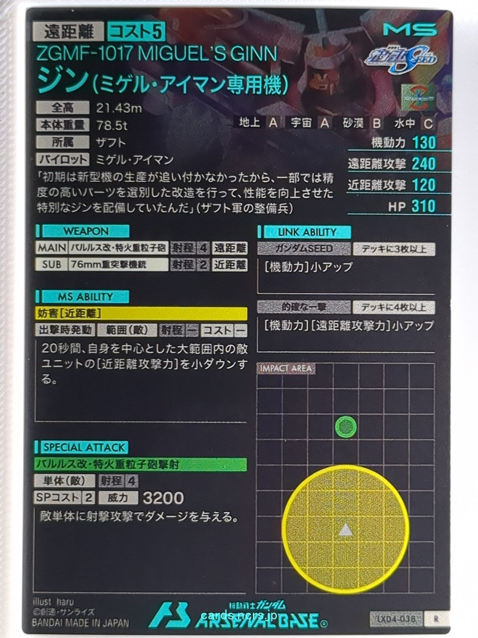 Backside Image