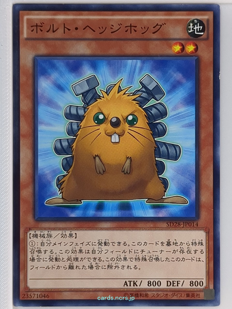 Yu-Gi-Oh! Yu-Gi-Oh! YGO/SD28-JP014 N Trading Card NM