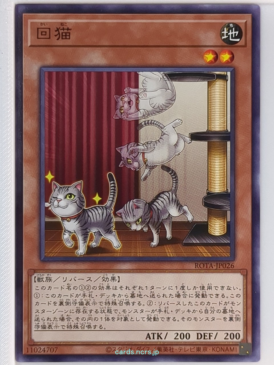 Yu-Gi-Oh! Yu-Gi-Oh! YGO/ROTA-JP026 N Trading Card NM