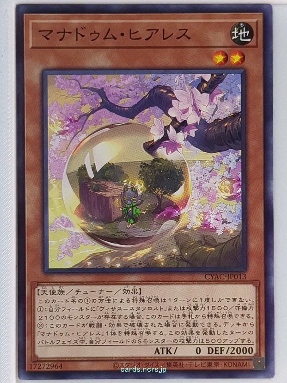 Yu-Gi-Oh! Yu-Gi-Oh! YGO/CYAC-JP013 N Trading Card NM