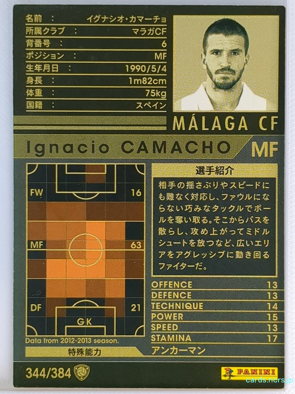 Panini WCCF Football WCCF/2012-2013-344/384 N Ignacio Camacho Trading Card NM