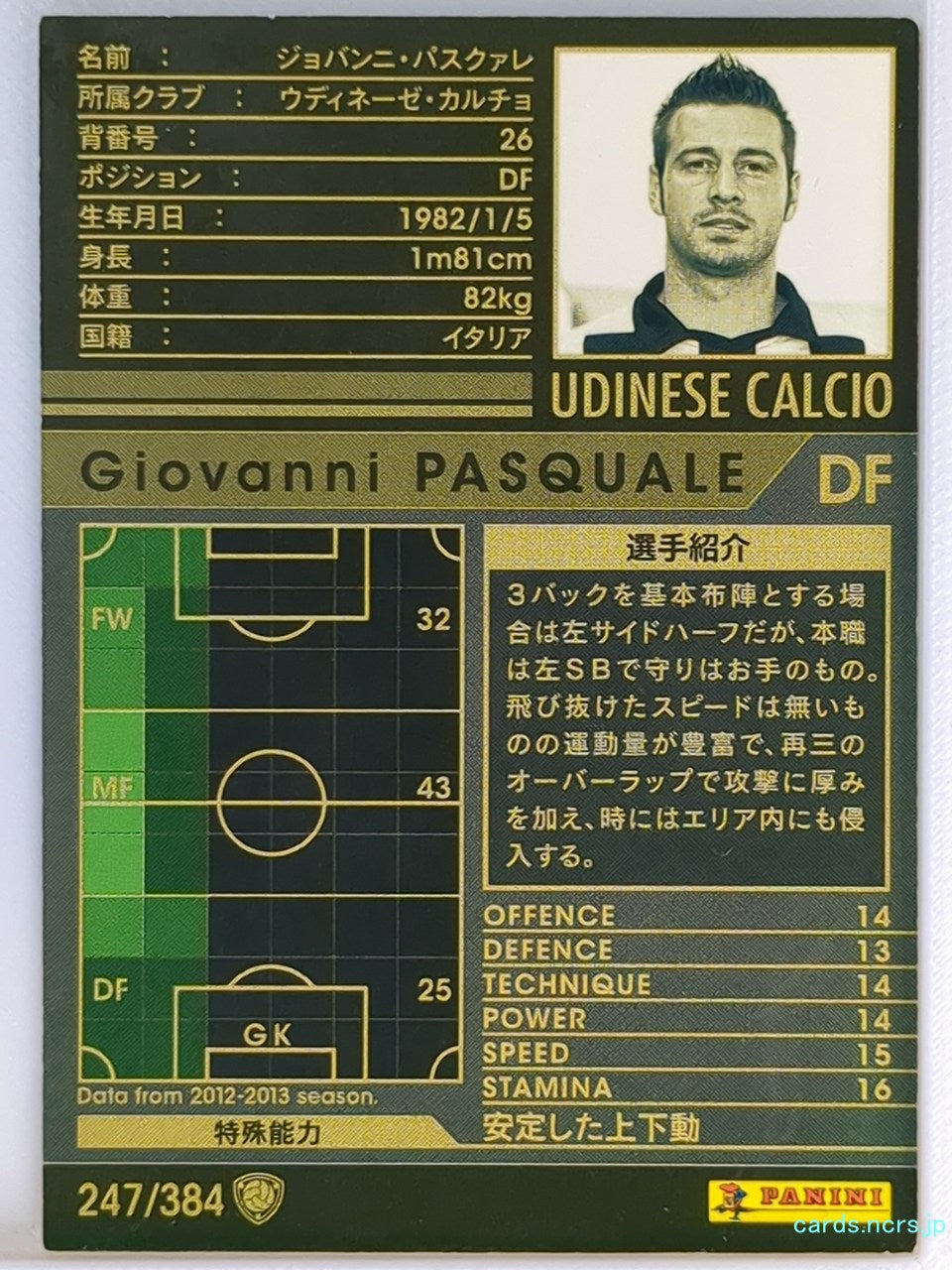 Panini WCCF Football WCCF/2012-2013-247/384 N Giovanni Pasquale Trading Card NM