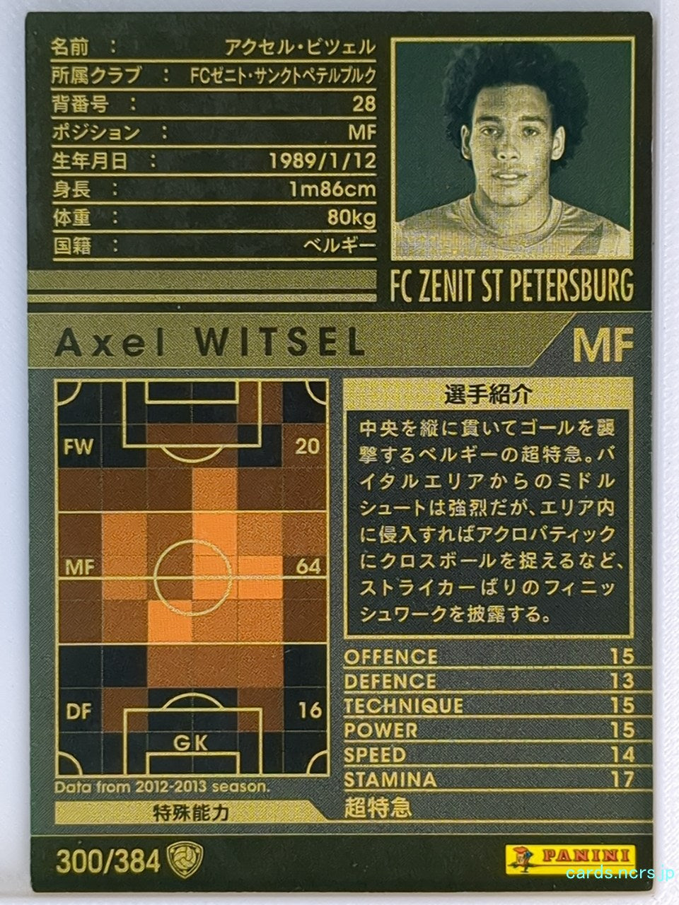 Panini WCCF Football WCCF/2012-2013-300/384 N Axel Witsel Trading Card NM