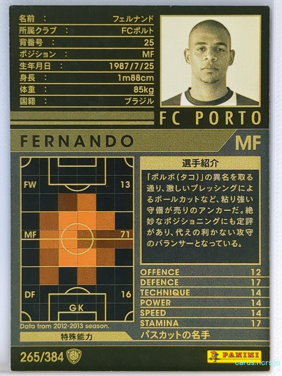 Panini WCCF Football WCCF/2012-2013-265/384 N Fernando Trading Card NM