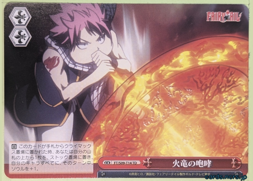 Weiss Schwarz Fairy Tail FT/S09-T14TD TD Natsu Dragneel Trading Card NM