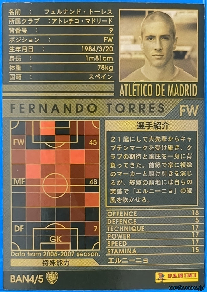 Panini WCCF Football WCCF/2006-2007-BAN4/5 N FERNANDO TORRES Trading Card NM
