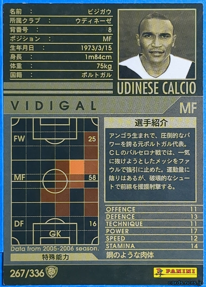 Panini WCCF Football WCCF/2005-2006-267/336 N Vidigal Trading Card NM