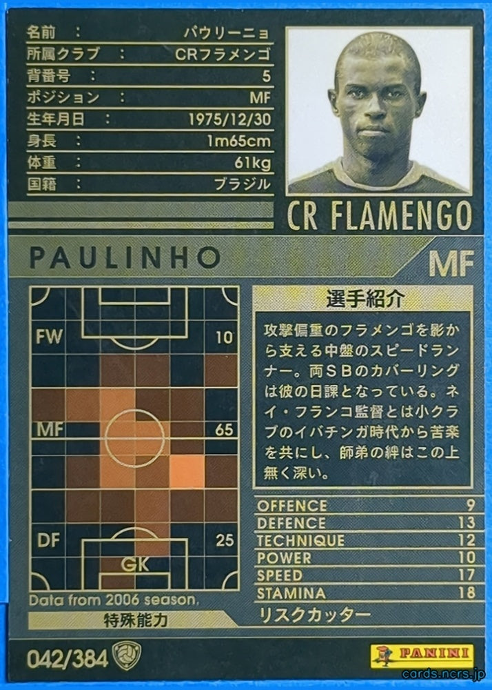 Panini WCCF Football WCCF/2006-2007-042/384 N Paulinho Trading Card NM