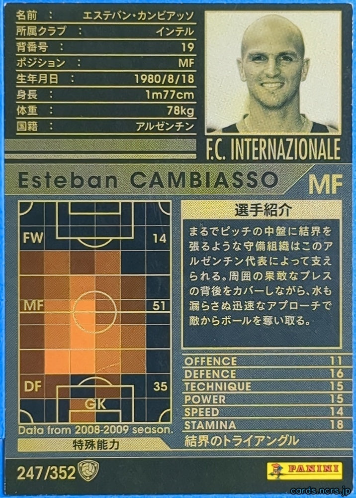 Panini WCCF Football WCCF/2008-2009-247/352 N Esteban Cambiasso Trading Card NM