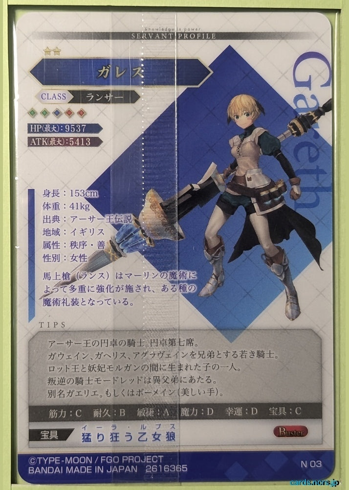 Fate/Grand Order Wafer Vol.11 Fate Grand Order FGW11/N03 N Gareth Trading Card NM