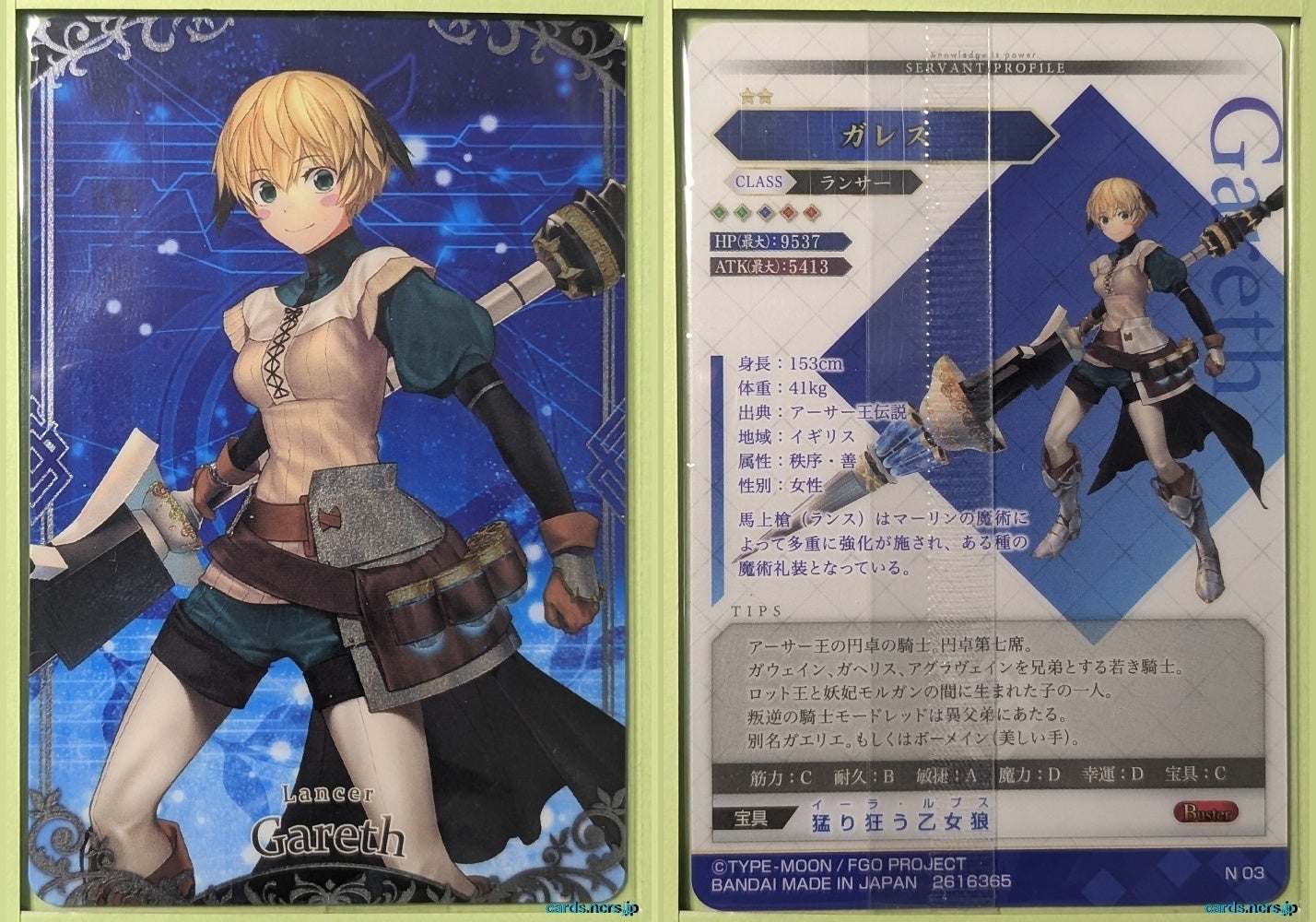 Fate/Grand Order Wafer Vol.11 Fate Grand Order FGW11/N03 N Gareth Trading Card NM