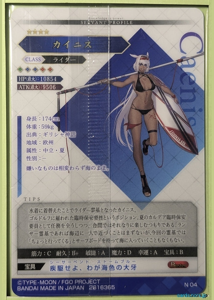 Fate/Grand Order Wafer Vol.11 Fate Grand Order FGW11/N04 N Caenis Trading Card NM