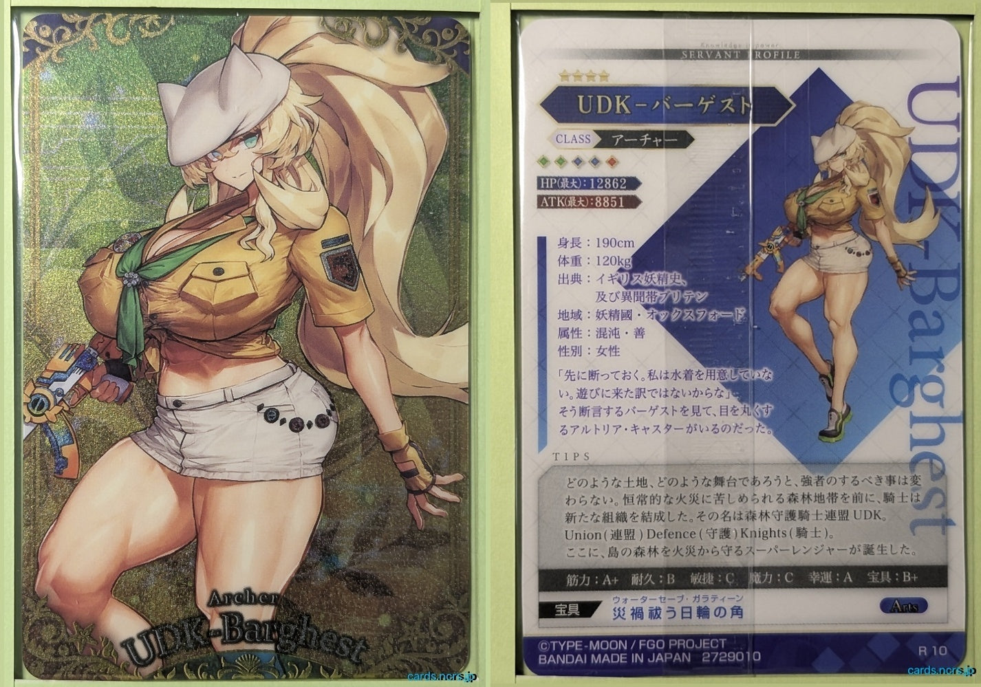 Fate/Grand Order Wafer Vol.12 Fate Grand Order FGW12/R10 R Barghest Trading Card NM