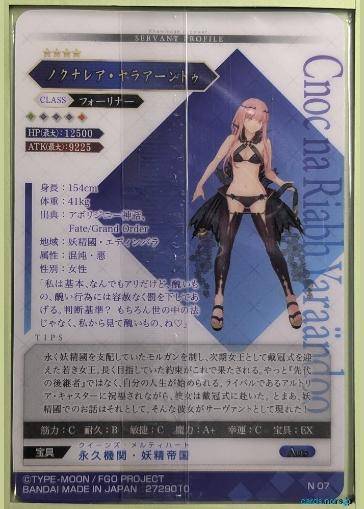 Fate/Grand Order Wafer Vol.13 Fate Grand Order FGW13/N07 N Cnoc na Riabh Yaraandöö Trading Card NM