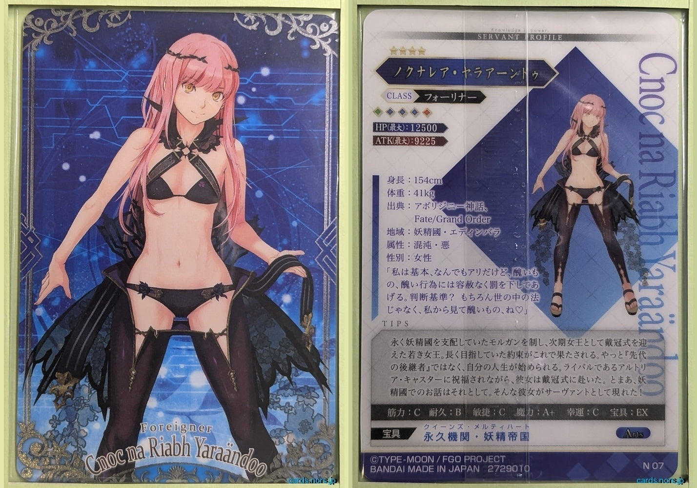 Fate/Grand Order Wafer Vol.13 Fate Grand Order FGW13/N07 N Cnoc na Riabh Yaraandöö Trading Card NM