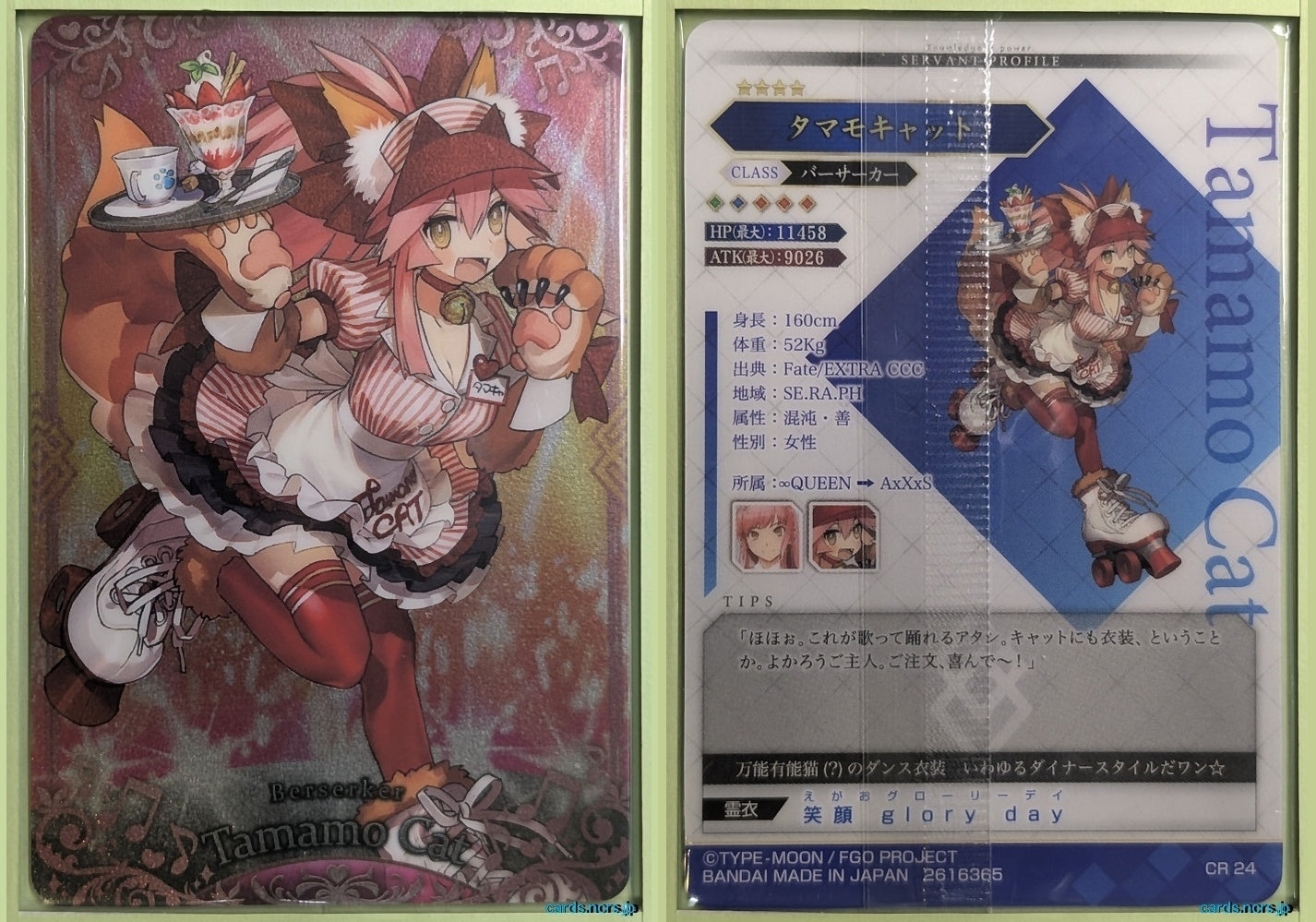 Fate/Grand Order Wafer Vol.11 Fate Grand Order FGW11/CR24 CR Tamamo Cat Trading Card NM