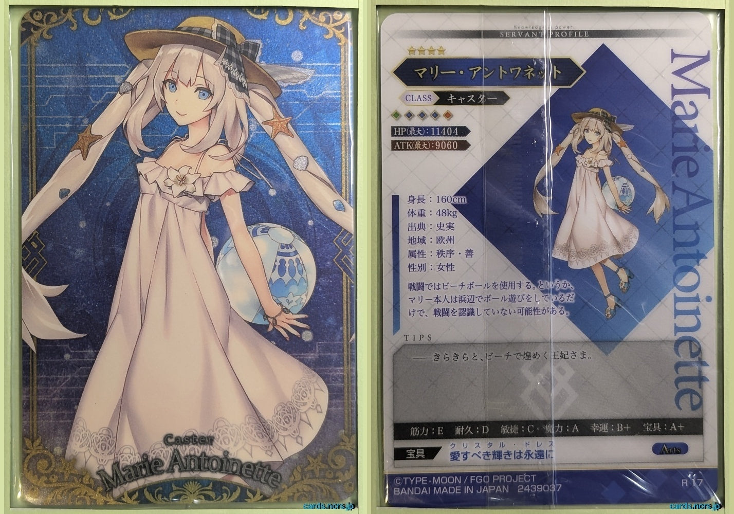 Fate/Grand Order Wafer Vol.04 Fate Grand Order FGW04/R17 R Marie Antoinette Trading Card NM