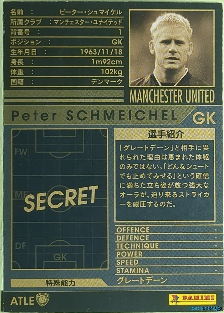 Panini WCCF Football WCCF/1991-1999-ATLE-SCHMEICHEL N Peter Schmeichel Trading Card EX